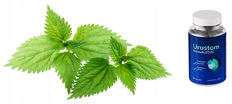 Urostom - jak stosować? Dawkowanie i instrukcja