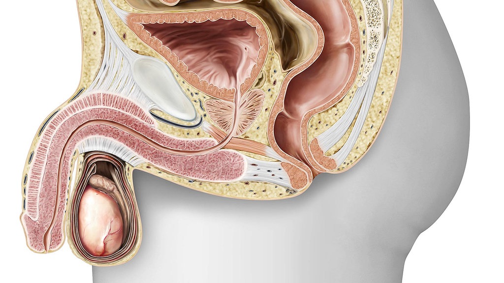 Urosten - jak stosować? Dawkowanie i instrukcja
