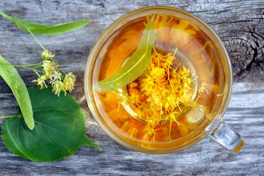 Herbata z lipy – właściwości i przeciwwskazania
